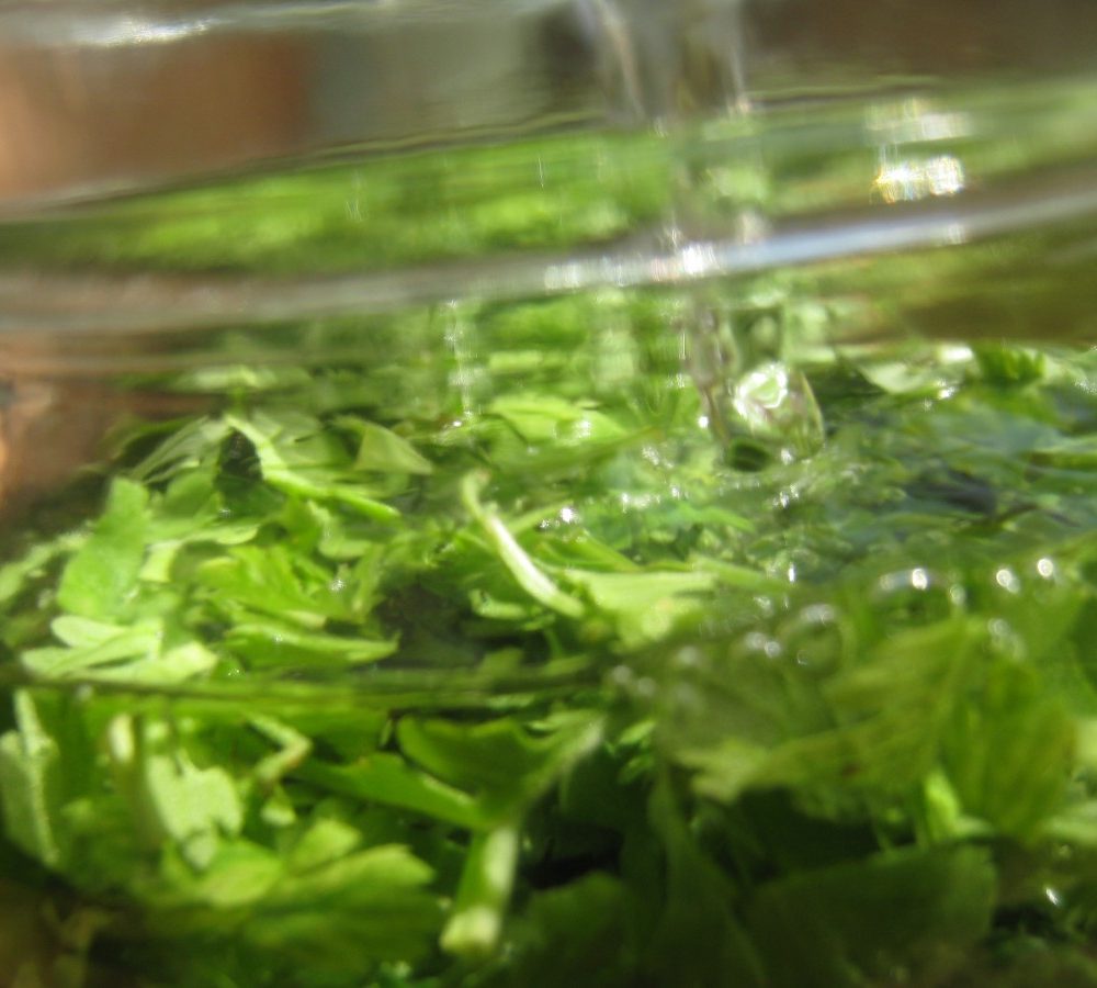 How to Treat Migraines with an Herbal Tincture at Home