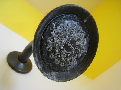 Explosive Showerhead Cleaner