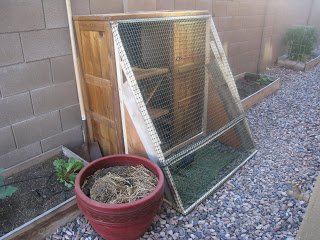 Wood for the Chicken Coop - Yes, this means we dumpster dive!