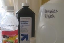 Homemade Bleach Alternative 1