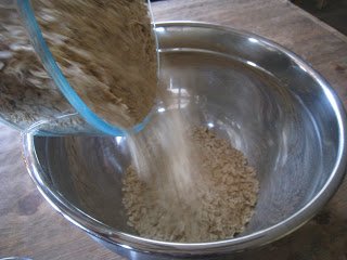 Instant Oatmeal: A Less-Waste, Frugal, Homemade Alternative