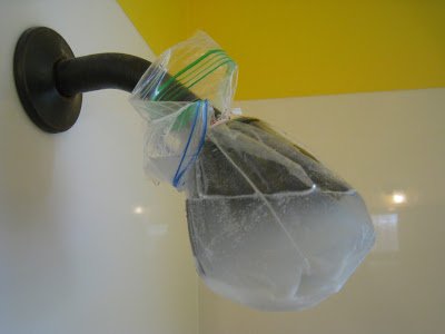 Explosive Showerhead Cleaner