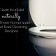 Homemade Toilet Bowl Cleaner Recipes