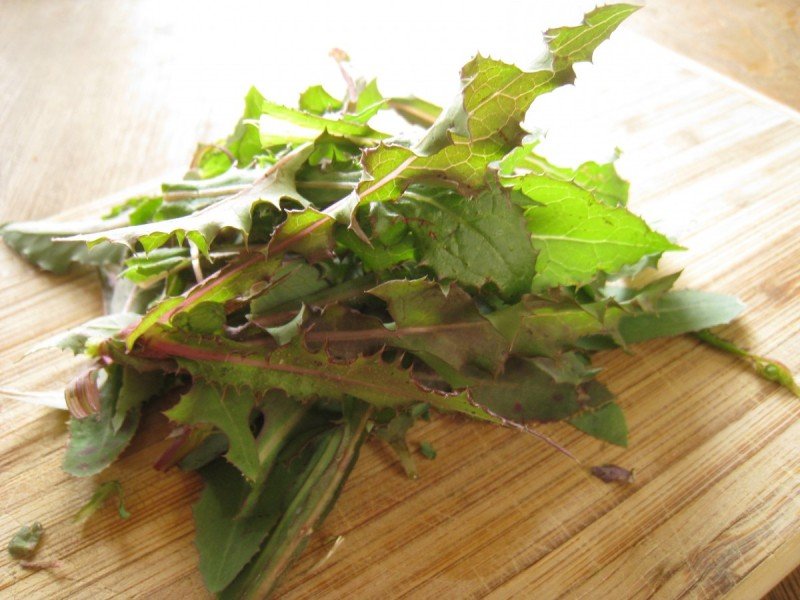 Spring Foraging: A Recipe for Dandelion Greens and Roots