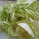 How to Preserve Cabbage 4