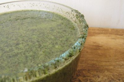 A Recipe for Wild Weed Pesto ~ And Tips for Preserving the Greens of Spring 4