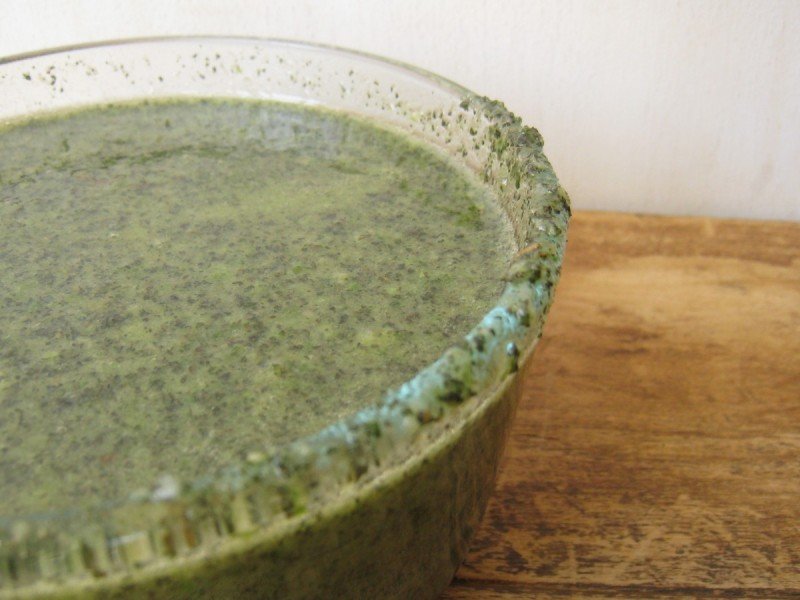 A Recipe for Wild Weed Pesto ~ And Tips for Preserving the Greens of Spring