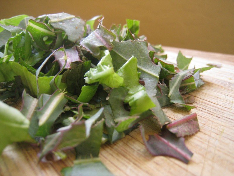 A Recipe for Wild Weed Pesto ~ And Tips for Preserving the Greens of Spring