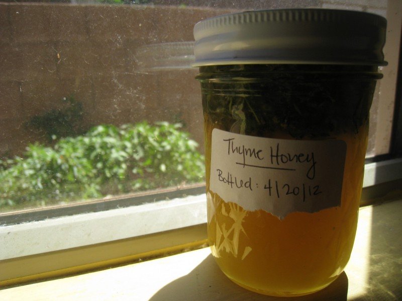 Growing Common Garden Thyme ~ And a Recipe for Thyme Honey