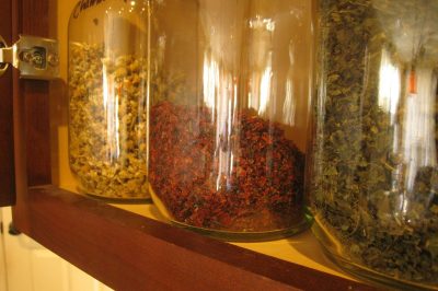 Top 10 Herbs for Your Kitchen Herbal Tea Closet 1