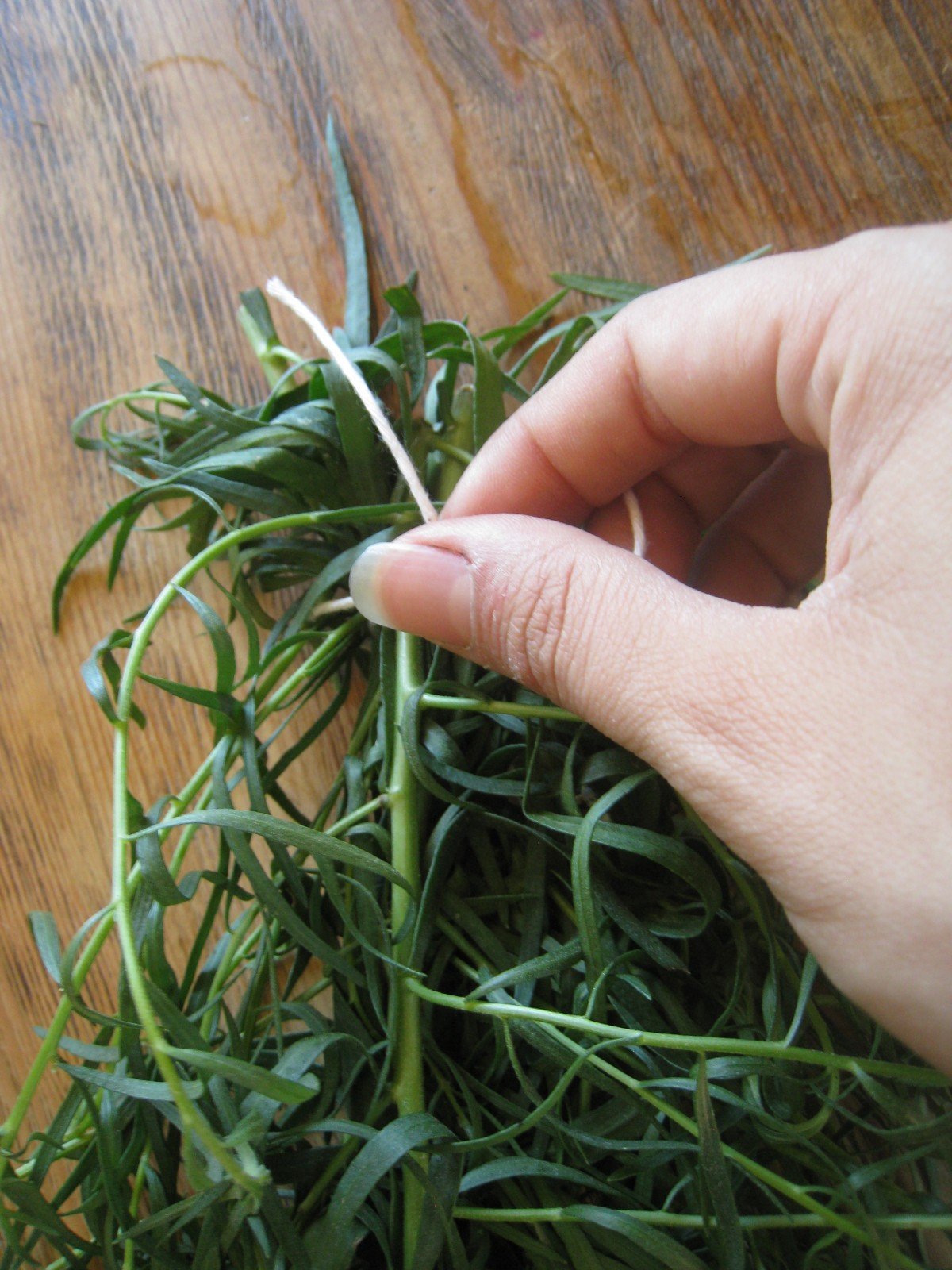 Creating a Kitchen Pharmacy: Traditional Methods of Preserving Homegrown Herbs