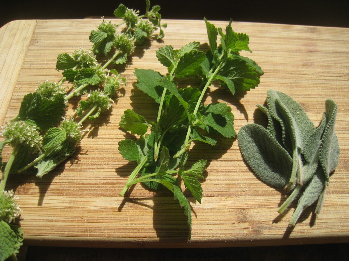 How to Make A Cold and Flu Tincture Using Homegrown Herbs ~ A Recipe