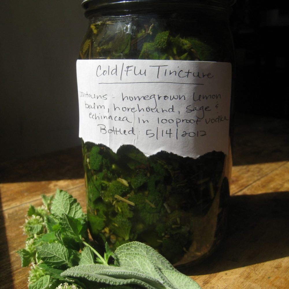 How to Make A Cold and Flu Tincture Using Homegrown Herbs ~ A Recipe