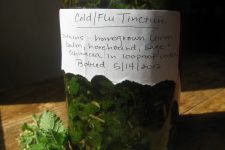 How to Make A Cold and Flu Tincture Using Homegrown Herbs ~ A Recipe 5