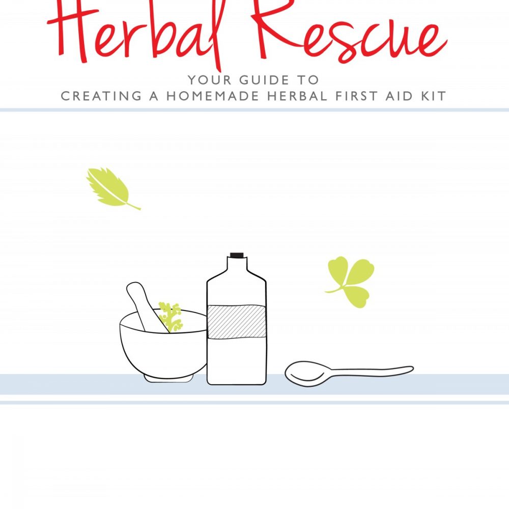 Herbal Rescue: Your Guide to Creating a Homemade Herbal First Aid Kit