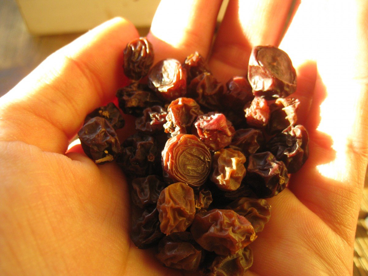 How to Make Raisins from Fresh Grapes