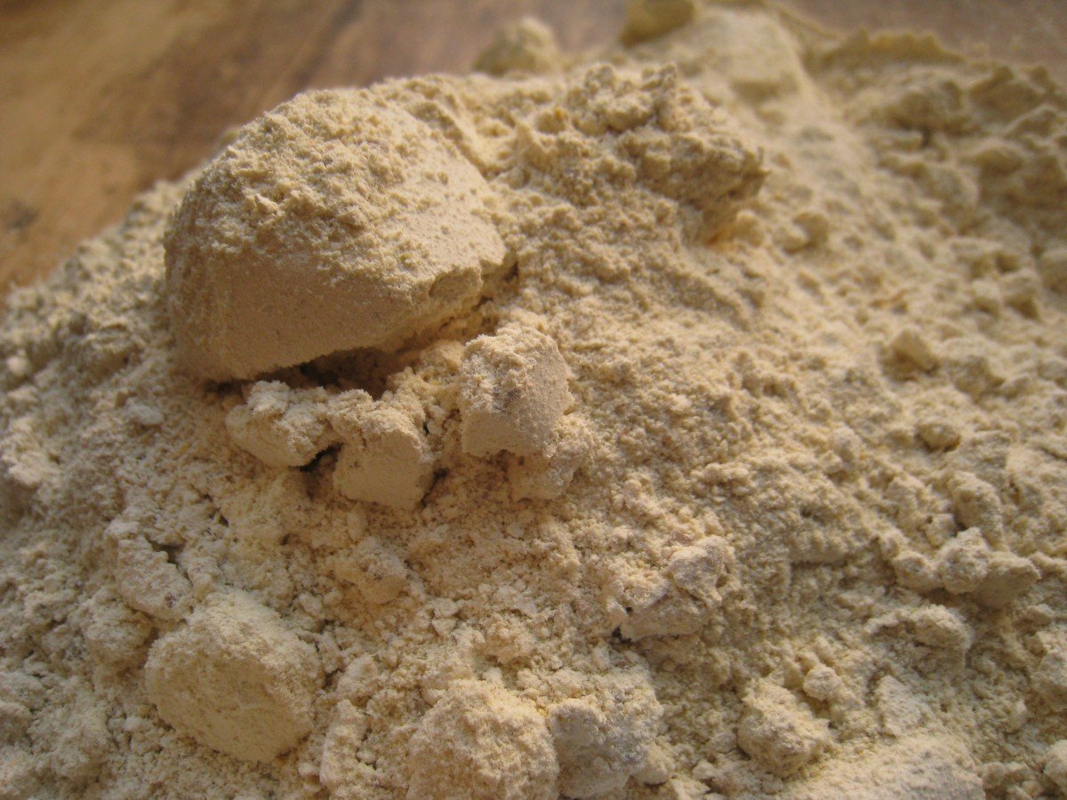 Foraging: How to Make Your Own Gluten-Free Mesquite Pod Flour