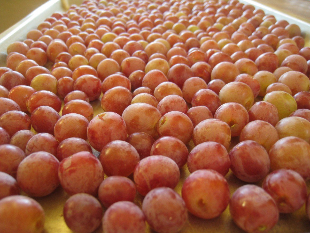 Tips for Preserving Grapes