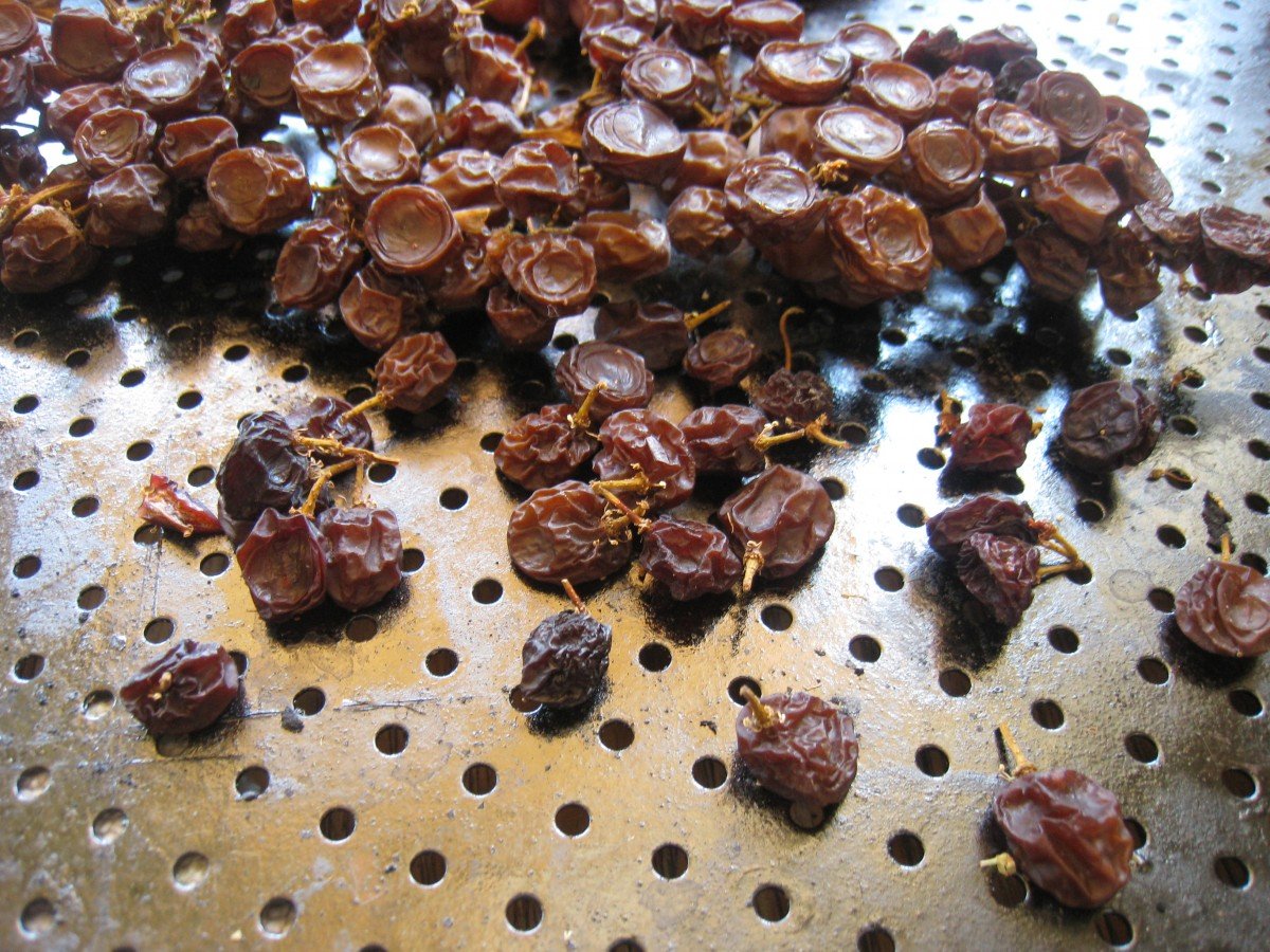 How to Make Raisins from Fresh Grapes