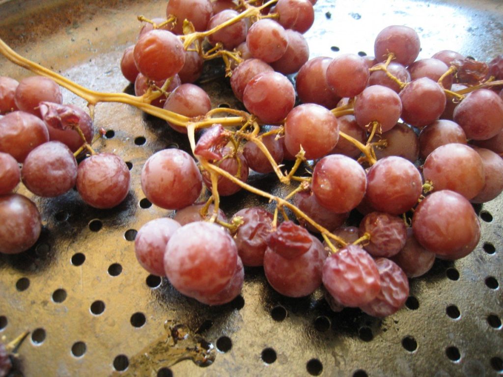 How to Make Raisins from Fresh Grapes Frugally Sustainable