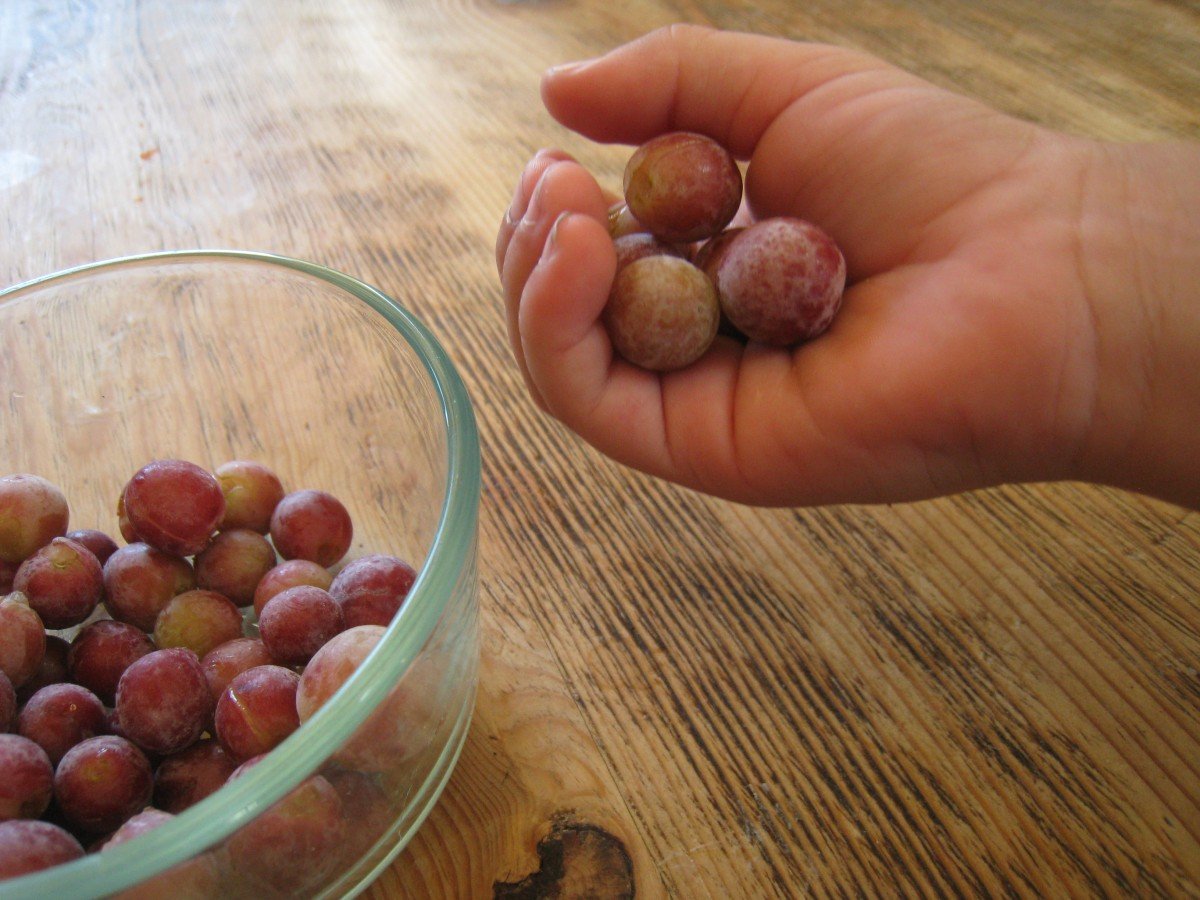 Tips for Preserving Grapes