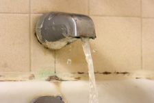 Tips for Treating Household Mold and Mildew Naturally