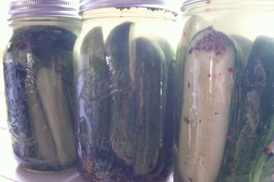 The Best "No Canning Skills Needed" Homemade Pickle Recipe 4