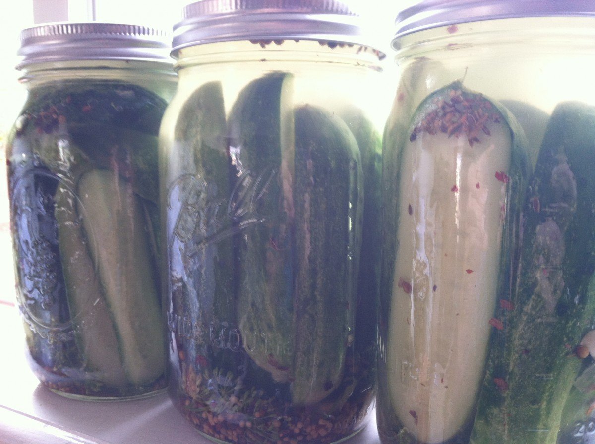 The Best "No Canning Skills Needed" Homemade Pickle Recipe