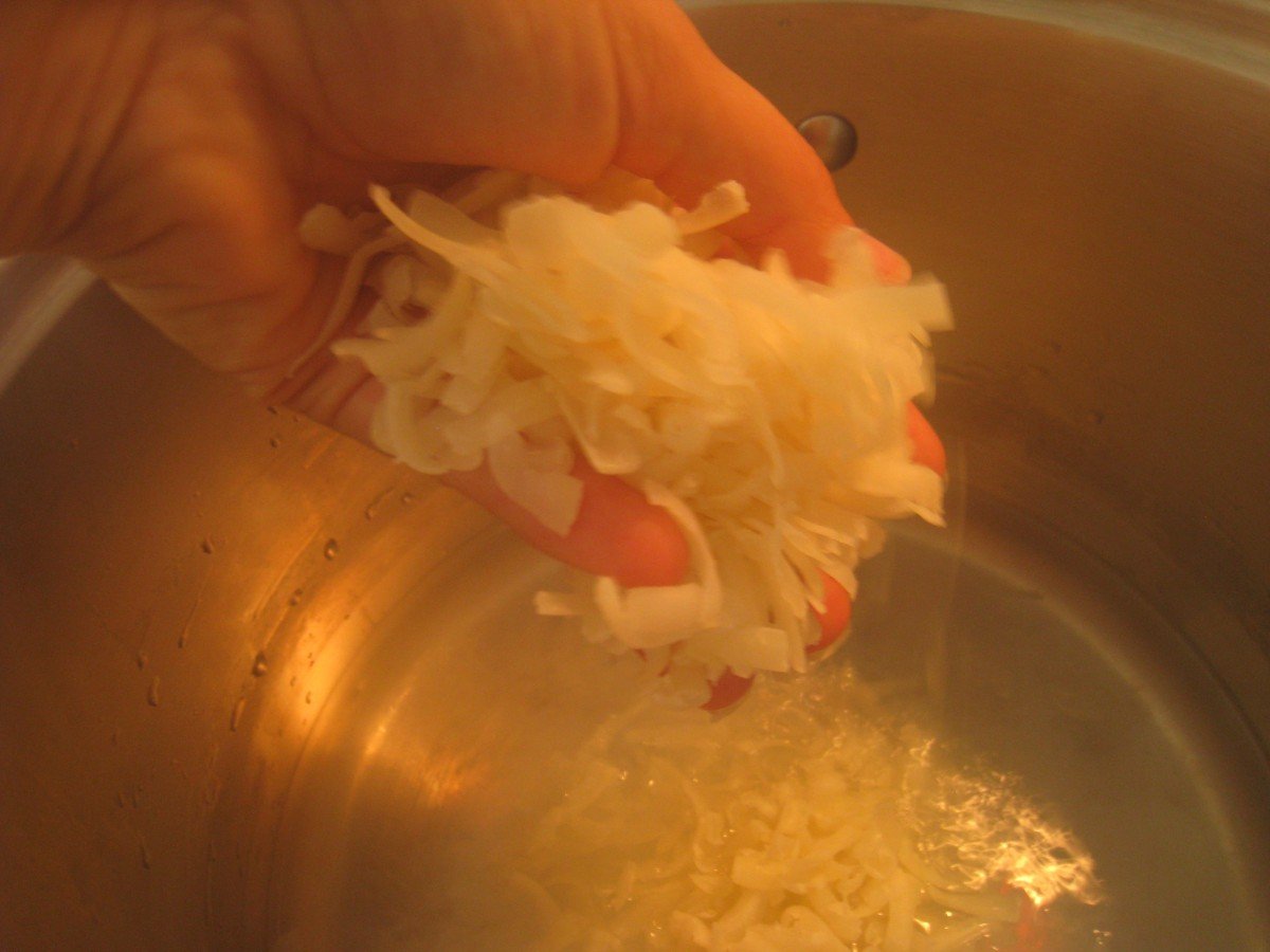 Homemade Liquid Herbal Hand Soap and Body Wash: Eucalyptus and Mint 