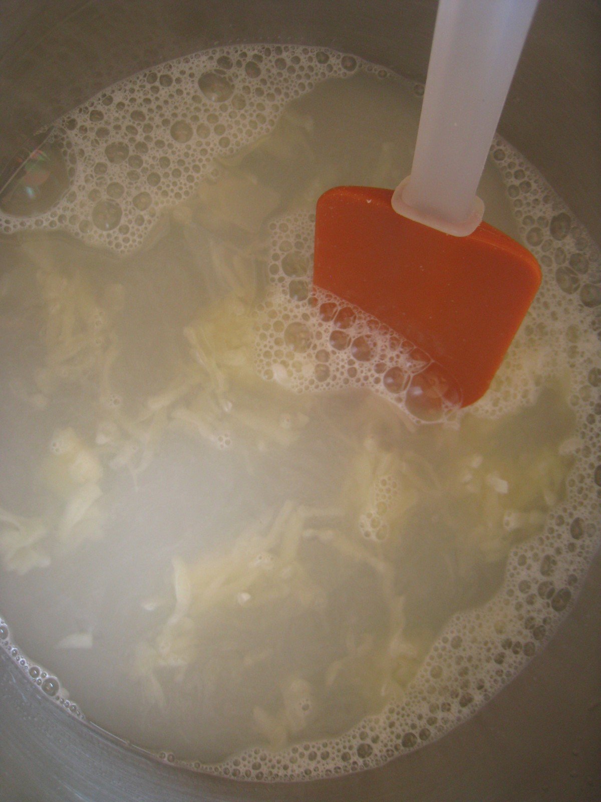 Homemade Liquid Herbal Hand Soap and Body Wash: Eucalyptus and Mint 