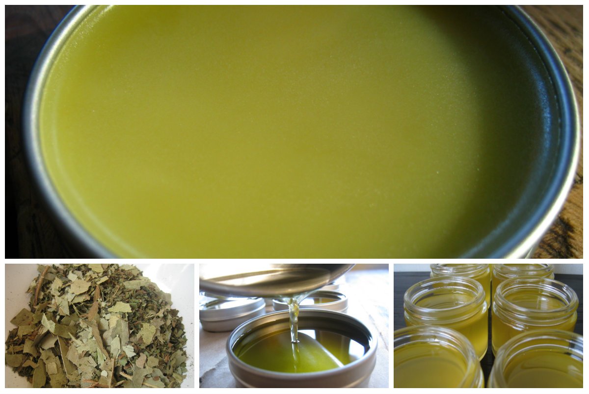 herbal decongestant salve collage