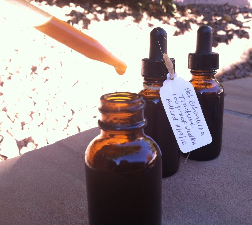 Herbs for Winter Health: A Recipe for Hot Echinacea Tincture