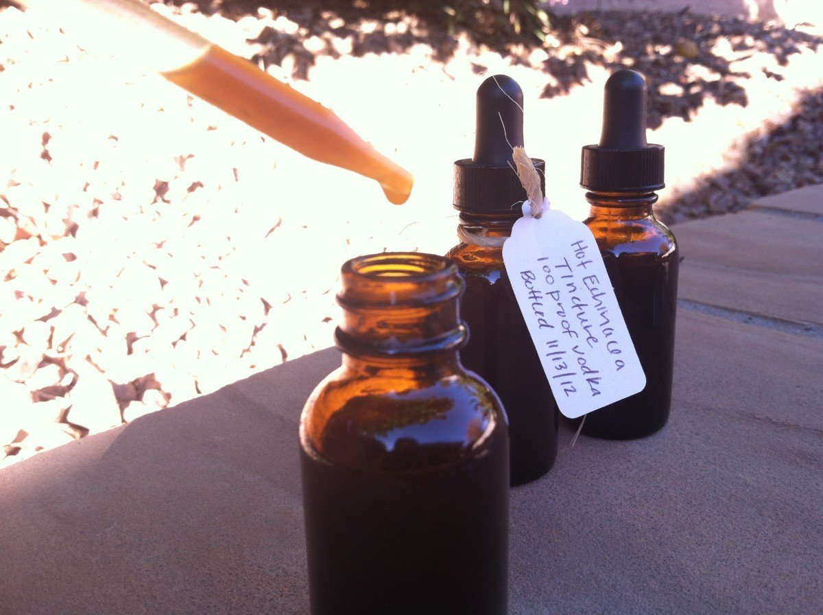 Herbs for Winter Health: A Recipe for Hot Echinacea Tincture