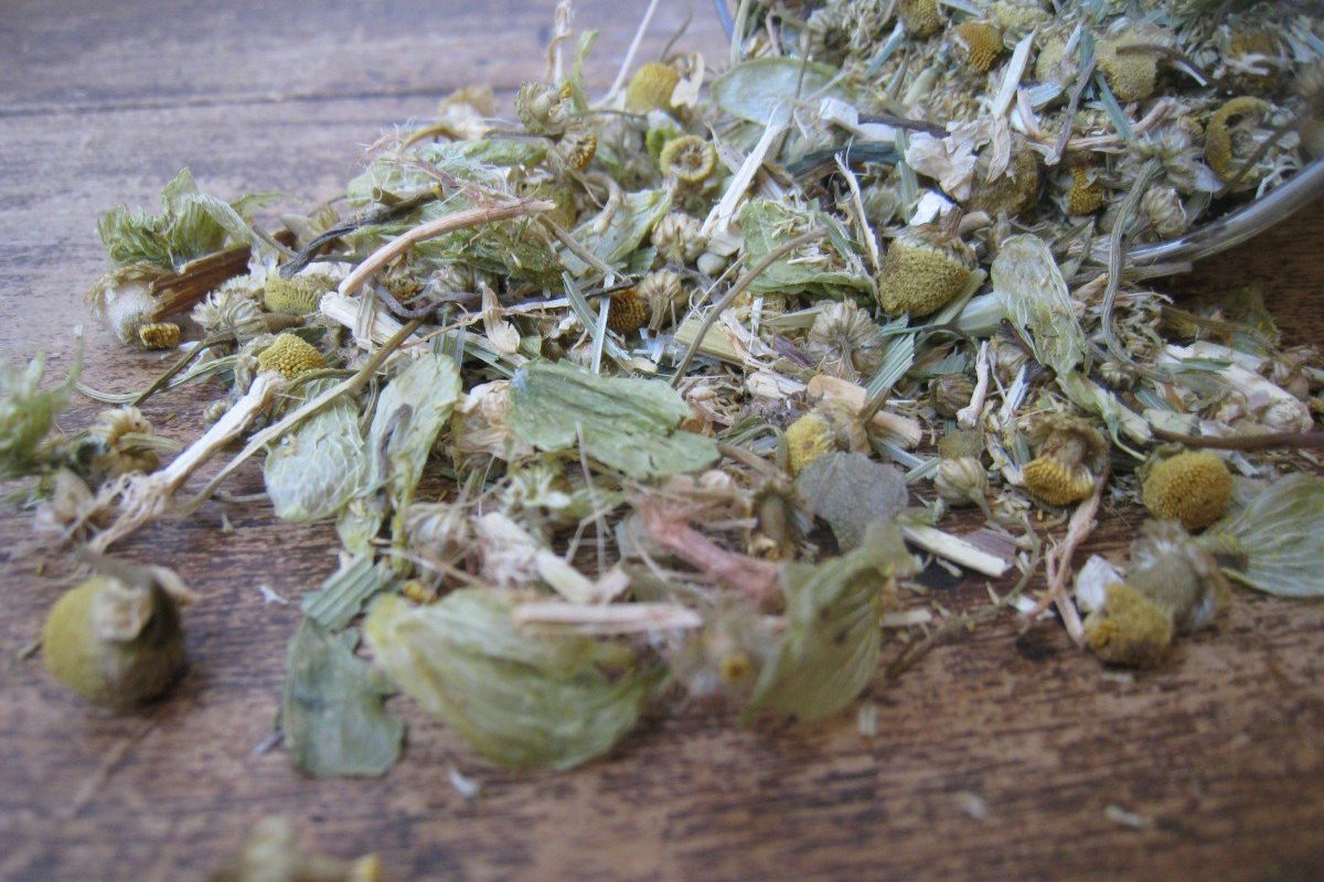 A Recipe For Herbal Bedtime Tea An All Natural Sleep Aid Frugally   012 1200x800 