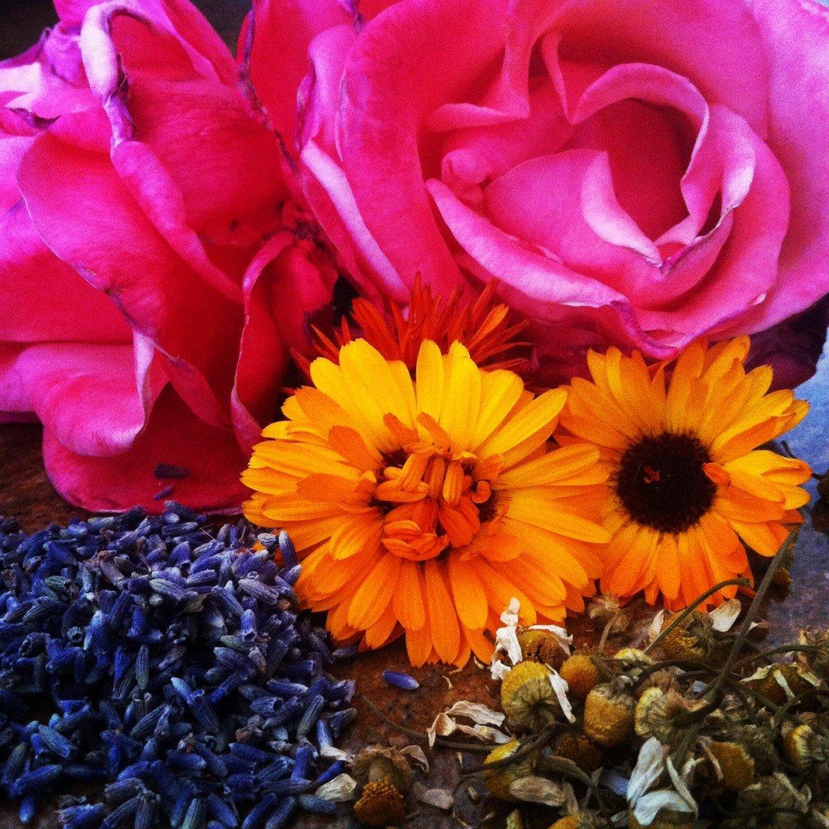 The recipe for Frugally Sustainable's Flower Power Herbal Astringent