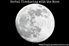 Moon-Based Herbal Medicine Making: How to Make an Herbal Tincture with the Lunar Cycle
