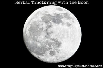 Moon-Based Herbal Medicine Making: How to Make an Herbal Tincture with the Lunar Cycle 1