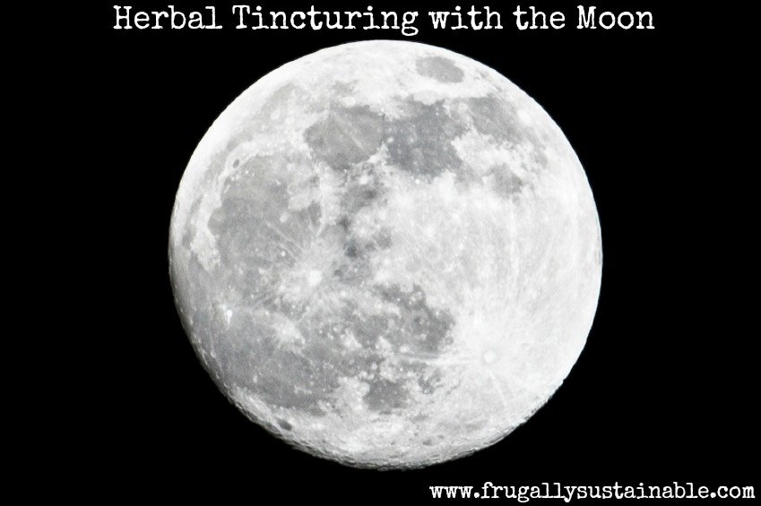 How to make an herbal tincture by the lunar cycle...moon-based herbal medicine making
