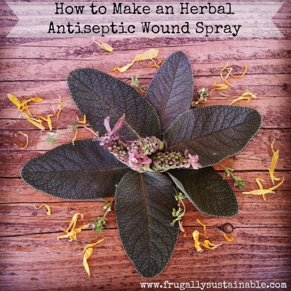 Herbs for First Aid: A Recipe for a First-Aid Antiseptic Wound Spray