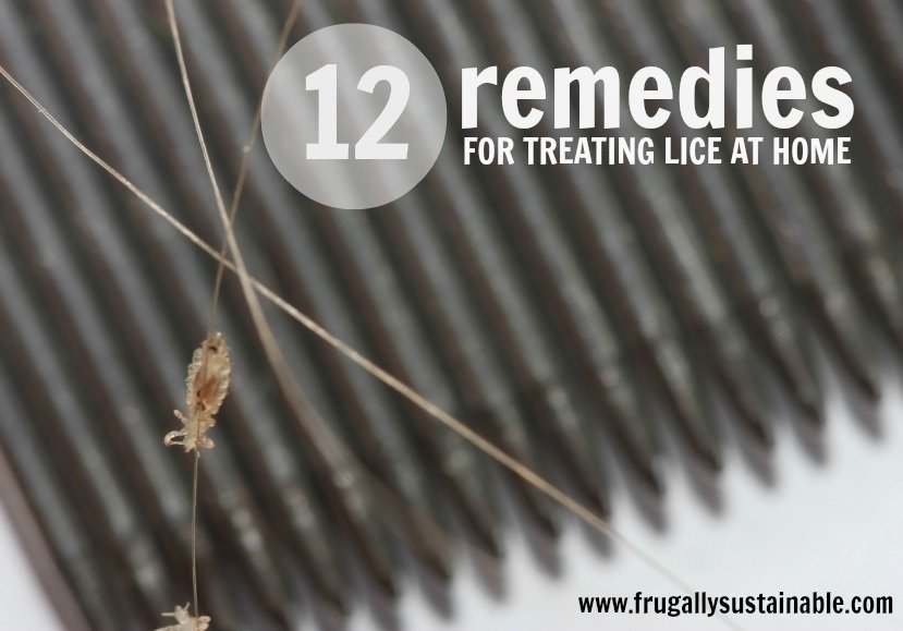 Frugally Sustainable's Tip for Treating Lice Naturally at Home