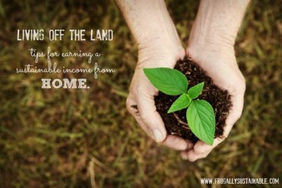 Living Off the Land: How to Earn a Sustainable Income from Home