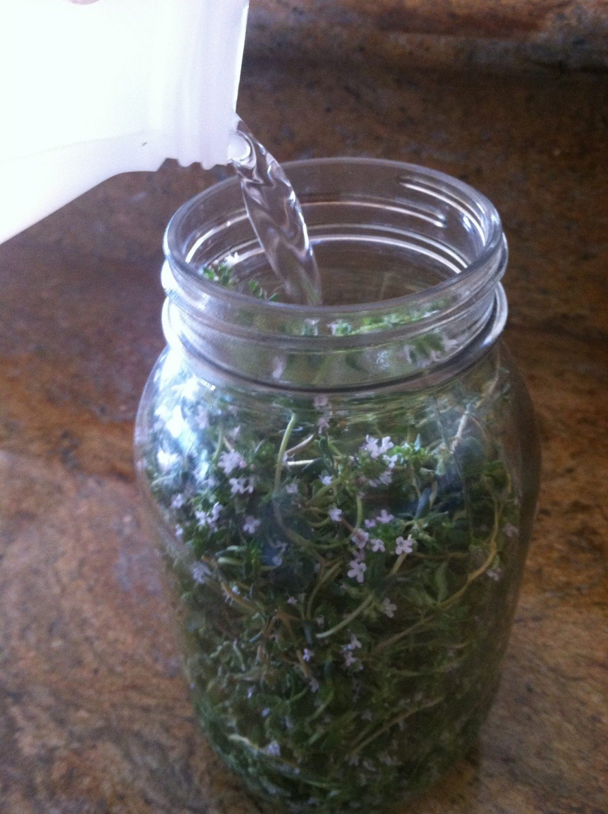 Make your own thyme tincture and treat acne naturally by Frugally Sustainable