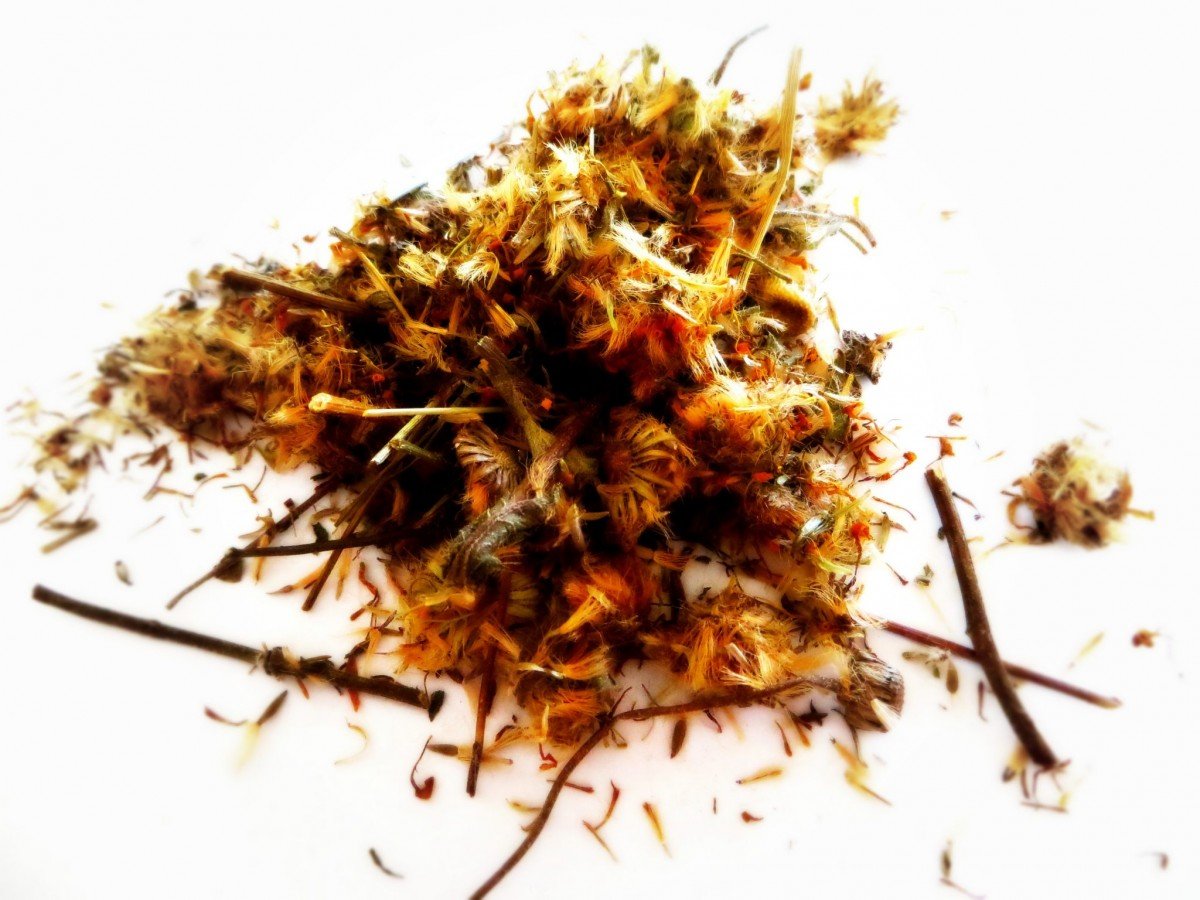 How to use dried arnica flowers for a "icy-hot" herbal salve by Frugally Sustainable