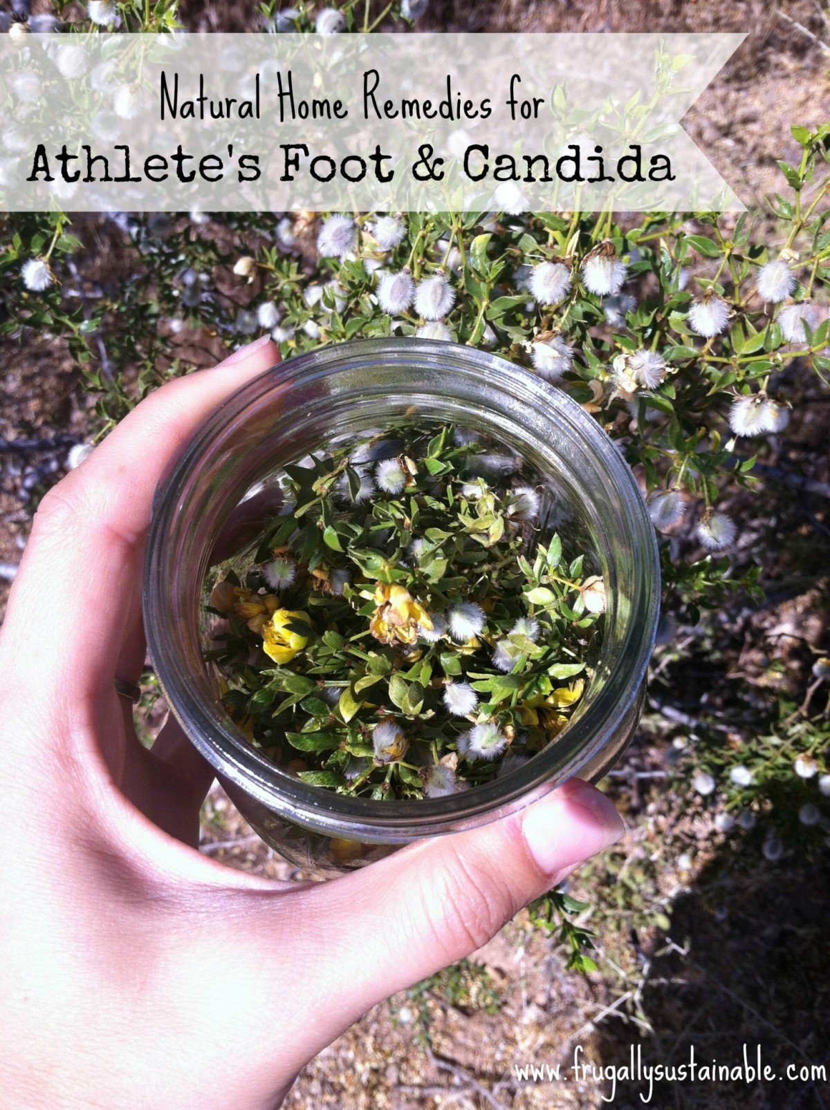 Natural Home Remedies for Athlete's Foot and Candida by Frugally Sustainable