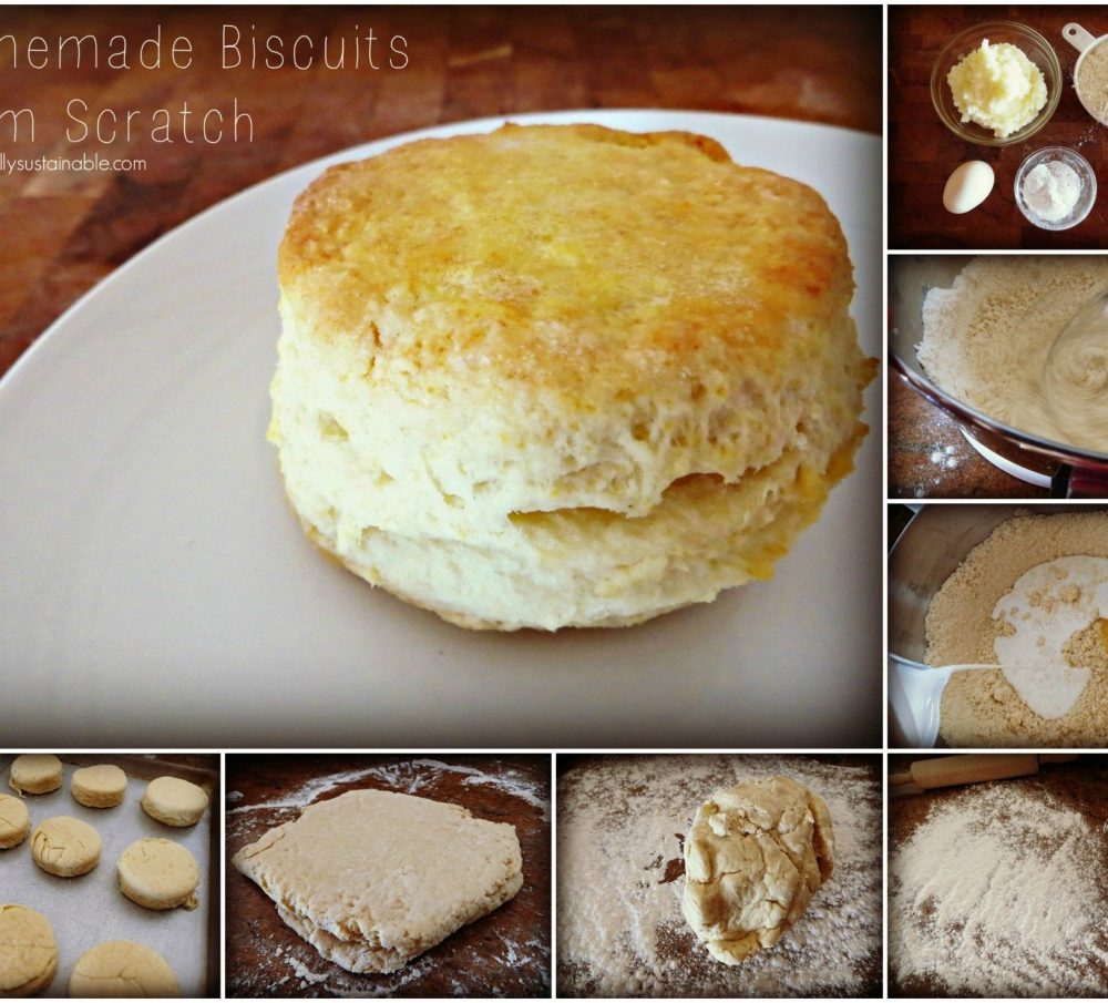 How to Make Homemade Biscuits (From Scratch)  Frugally Sustainable