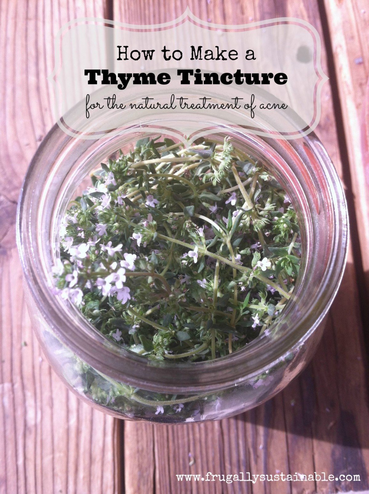 How To Use Thyme For Acne at Don Fessenden blog
