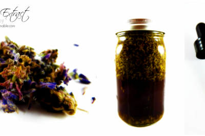How to Make and Use Lavender Flower Extract 4