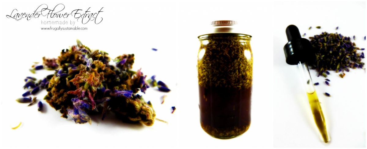 How to Make and Use Lavender Flower Extract by Frugally Sustaianble