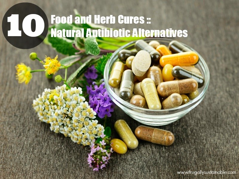 Food and Herb Cures: 10 Natural Antibiotic Alternatives