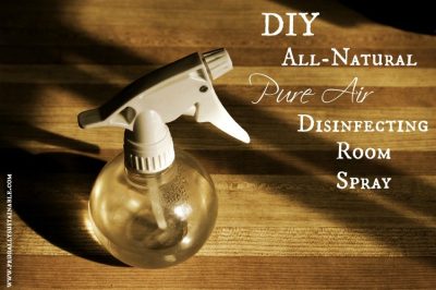 How to Kill Cold & Infection-Causing Germs Naturally :: Homemade Antibacterial Disinfecting Room Spray
